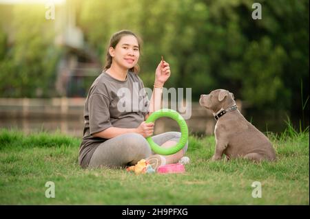 Cane mamma felice famiglia, donne incinte con cane cucciolo divertente e carino, cane bully americano , amante degli animali domestici Foto Stock