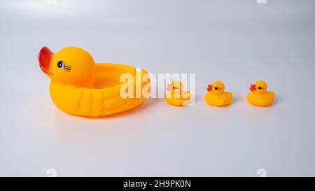 Anatra madre e anatra sono uccelli molto affettuosi. Sono molto vicini ai loro bambini e giocano con loro formando diverse formazioni. Foto Stock