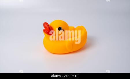 Anatra madre e anatra sono uccelli molto affettuosi. Sono molto vicini ai loro bambini e giocano con loro formando diverse formazioni. Foto Stock