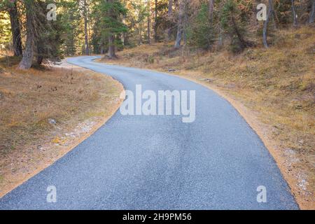 Una strada secondaria lungo i boschi in autunno Foto Stock