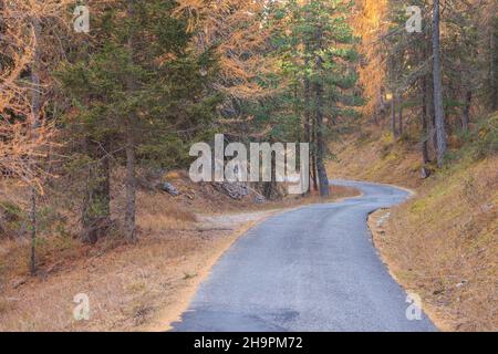 Una strada secondaria lungo i boschi in autunno Foto Stock