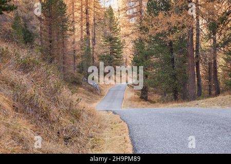 Una strada secondaria lungo i boschi in autunno Foto Stock