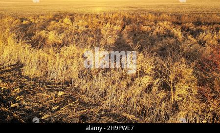 Stile di vita agricolo del Wisconsin rurale con Foto Stock