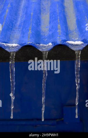 Tre ghiaccioli sul tetto di ferro corrugato blu, piogge congelate sul tetto della casa, gelo Foto Stock