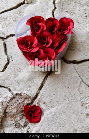 Scatola di plastica a forma di cuore con rose artificiali su terreno argilloso secco, afflizione simbolica di amore, simbolismo che truffa, surrealistico motivo fotografico, surreale Foto Stock