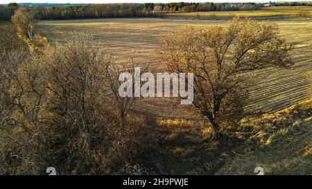 Stile di vita agricolo del Wisconsin rurale con Foto Stock