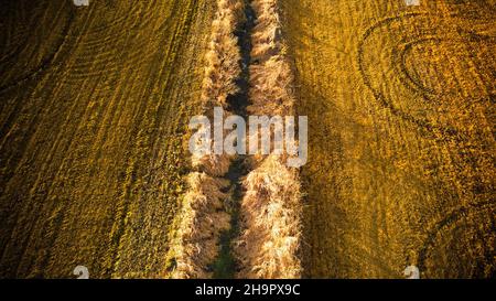 Rurale Wisconsin stile di vita agricola con fossato Foto Stock