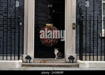 LONDRA, REGNO UNITO 8TH DICEMBRE 2021. Larry il gatto fuori numero 10 Downing Street prima che il primo ministro parte per PMQs alla Camera dei Comuni. Foto Stock