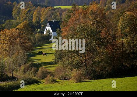 Paesaggio nella valle di Ebbebach sotto Nordhelle, Herscheid, Sauerland, Renania settentrionale-Vestfalia, Germania Foto Stock