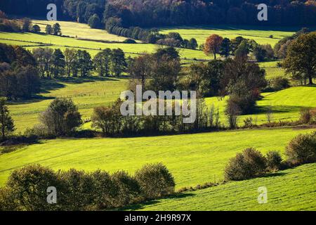 Paesaggio nella valle di Ebbebach sotto Nordhelle, Herscheid, Sauerland, Renania settentrionale-Vestfalia, Germania Foto Stock