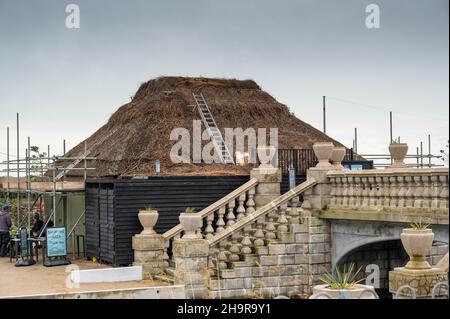 Tetto di paglia su un edificio in fase di riparazione con la nuova paglia in Norfolk e impalcatura intorno alla proprietà Foto Stock