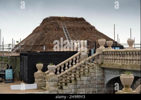 Tetto di paglia su un edificio in fase di riparazione con la nuova paglia in Norfolk e impalcatura intorno alla proprietà Foto Stock