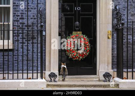 Larry the Cat, Downing Street Chief Mouser, attende sul gradino della porta del n. 10 per essere lasciato in, Londra, Regno Unito Foto Stock