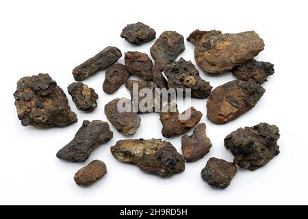 Mostrando alla telecamera una roccia chiamata ematite, limonite o magnetite, utilizzata dall'industria per ottenere ferro Foto Stock