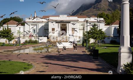 I piccioni spargono di fronte alla South African National Gallery nel Giardino della Compagnia di Città del Capo, un polmone verde urbano Foto Stock