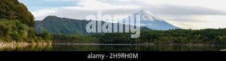 Vista panoramica del Monte Fuji, l'icona culturale del Giappone, con la riflessione sul lago Saiko Foto Stock