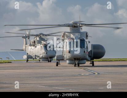 Royal Navy 820 Squadron di ritorno alla stazione aerea DI RNAS Cullrose, Helston in Cornovaglia, con i loro sette elicotteri Merlin Mk2, erano circa 60 equipaggi e ingegneri dallo squadrone, mentre gli altri sono tornati separatamente. Il Carrier Strike Group 2021 ha coinvolto nove navi provenienti da diversi paesi alleati, un sottomarino, 32 aerei e più di 3.700 persone. L'implementazione è stata una pietra miliare significativa nel stabilire la capacità globale del Regno Unito di gestire F35 jet come parte del deterrente tradizionale del Regno Unito. Foto Stock