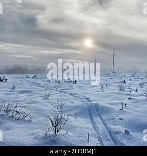 Piste da sci in terre desolate d'inverno in una giornata di nebbia in Lapponia. Foto Stock