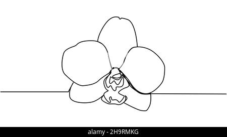 Fiori di orchidea disegnati a mano. Disegno a una linea. Arte minimalista Illustrazione Vettoriale