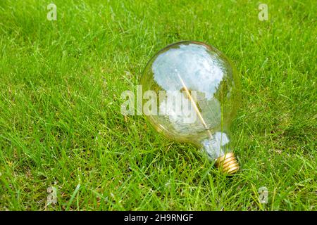 Una lampadina a incandescenza nell'erba verde. Concetto di risparmio energetico. Un primo piano. Un'idea. Foto Stock
