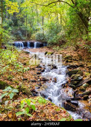 Ruscello in Pearsons Falls e Glen fuori NC Hwy. 176, tra le città di Tryon e Saluda in Carolina del Nord USA Foto Stock