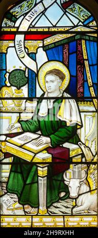 Particolare della vetrata raffigurante San Luca, probabilmente di Federico Carlo Eden (1864-1944) Chiesa di Barsham, Suffolk, Inghilterra, UK c 1907 Foto Stock