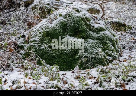 Vista di una roccia coperta di muschio in inverno Foto Stock