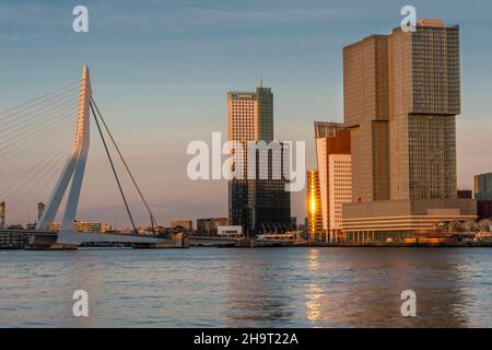 Rotterdam, Stadtteil Kop van Zuid, Erasmusbrug Foto Stock