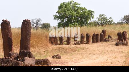 I cerchi di pietra di Senegambia a Wassu sono un sito patrimonio dell'umanità dell'UNESCO. Si ritiene che le pietre risalano dal 300 a.C. al 1600s. Foto Stock