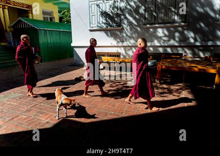 Mandalay, Myanmar, 18 novembre 2016: I monaci che preparano la cena Foto Stock