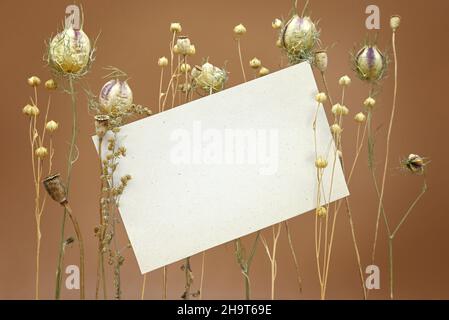 Mock up, composizione da erbe selvatiche secche e bianco foglio di annata di carta. Concetto di naturalezza e unità con la natura, stile nordico, fiori secchi. Foto Stock