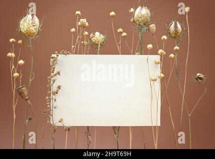 Mock up, composizione da erbe selvatiche secche e bianco foglio di annata di carta. Concetto di naturalezza e unità con la natura, stile nordico, fiori secchi. Foto Stock