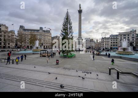 Trafalgar Square, Londra, Regno Unito. 8 dicembre 2021. L'albero di Natale norvegese a Trafalgar Square in un giorno di Londra grigio e freddo. Credit: Malcolm Park/Alamy Live News. Foto Stock