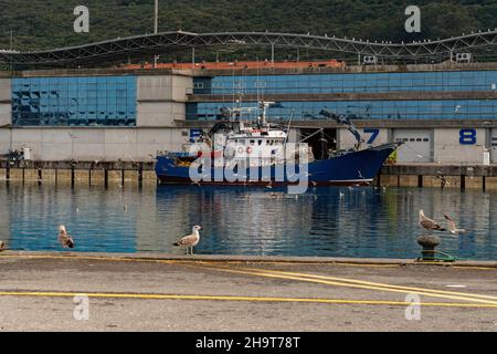 Porto di pesca di Santona de Cantabria - Spagna Foto Stock