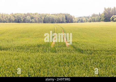 il trattore solchi nel campo della granella Foto Stock