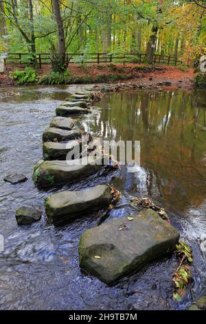 Pietre che attraversano il fiume Don sull'Upper Don Trail, Forge Woods, Wortley vicino a Barnsley, South Yorkshire, Inghilterra, REGNO UNITO. Foto Stock