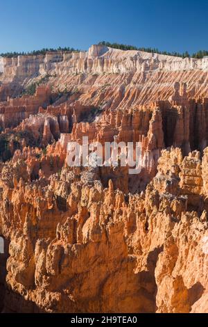 Bryce Canyon National Park, Utah, USA. Vista sulla città silenziosa dal Rim Trail vicino a Sunset Point, al mattino presto. Foto Stock