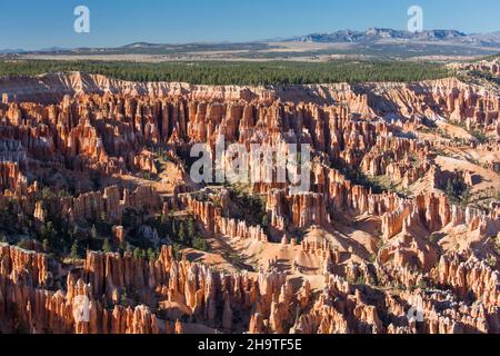 Bryce Canyon National Park, Utah, USA. Vista sulla foresta di hoodoos nella Città silenziosa dal Rim Trail a Bryce Point. Foto Stock