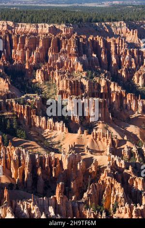 Bryce Canyon National Park, Utah, USA. Vista sulla foresta di hoodoos nella Città silenziosa dal Rim Trail a Bryce Point. Foto Stock
