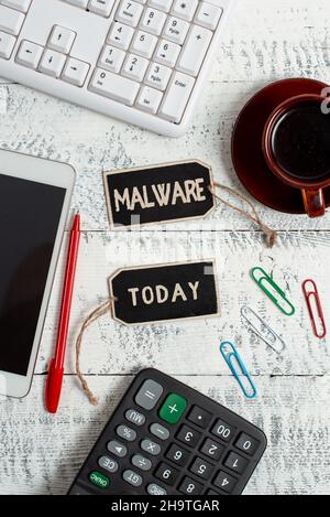 Scrittura visualizzazione testo malware. Concetto che significa software dannoso o file dannoso per un utente del computer visualizzazione di un'etichetta con colori diversi Foto Stock