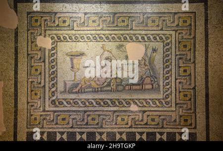 Gaziantep, Turchia. Zeugma Mosaic Museum, una delle più grandi collezioni di mosaici del mondo. Foto Stock