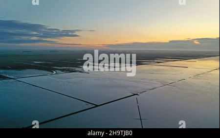 Tramonto sul mare di wadden a bassa marea, Paesi Bassi, Frisia, Holwerd Foto Stock