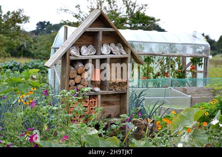 Un insetto hotel e una piccola serra stand in un giardino fiorito , Francia, Bretagna, Erquy Foto Stock