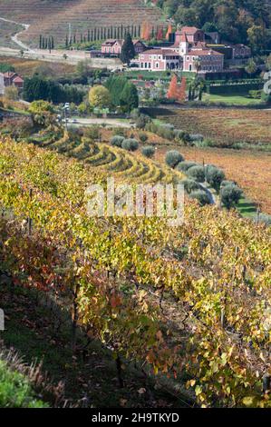 Colorato paesaggio autunnale della più antica regione vinicola del mondo Valle del Douro in Portogallo, diverse varietà di vitigni coltivati su vigneti terrazzati, pr Foto Stock