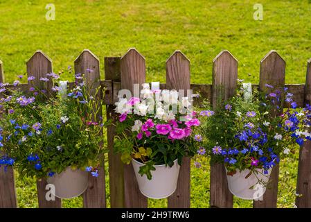 una selezione di piante e fiori dai colori vivaci in pentole appese ad un recinto da picket con prato da giardino sullo sfondo Foto Stock
