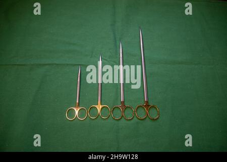 Forbici chirurgiche di diverse dimensioni giacciono affiancate su una base verde Foto Stock