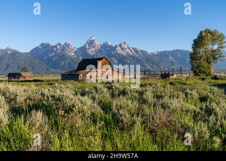 John Moulton Barn a Mormon Row nel Grand Teton National Park in una mattinata limpida e soleggiata d'estate Foto Stock