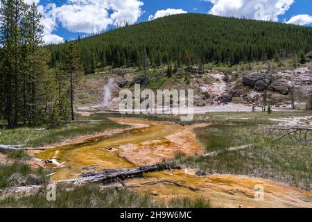 Artisti Paint Pots zona del Parco Nazionale di Yellowstone Foto Stock