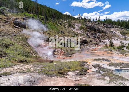 Artisti Paint Pots zona del Parco Nazionale di Yellowstone Foto Stock