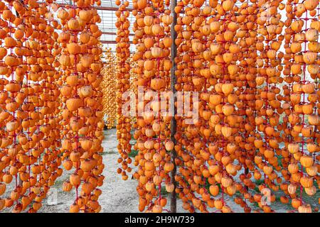 Persimmons o Kaki frutta sbucciata e appesa su una corda per asciugare. Diospyros kaki frutta o Persimmons sono esposti al sole e vento naturale come il Deni Foto Stock